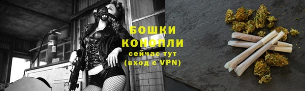 сатива Абдулино