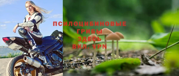 дживик Осинники
