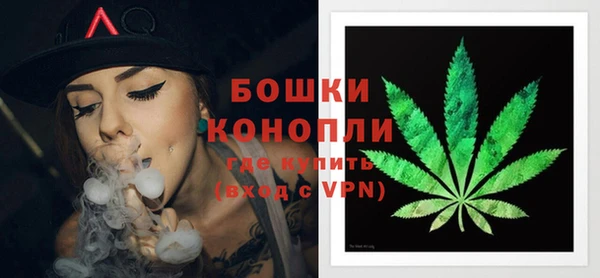 сатива Абдулино