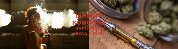 крисы Осташков