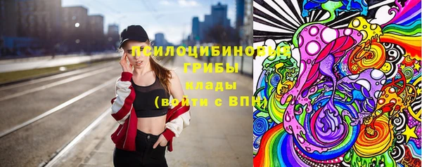 дживик Осинники