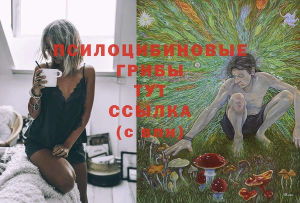 ешки Волосово