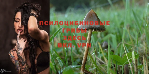 дживик Осинники
